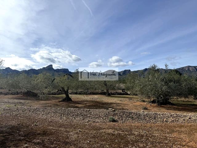 Undeveloped Land for sale in El Perelló - € 50,000 (Ref: 9622954)