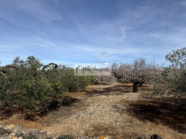 Undeveloped Land for sale in El Perelló - € 50,000 (Ref: 9622954)