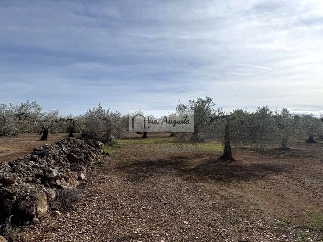 Undeveloped Land for sale in El Perelló - € 50,000 (Ref: 9622954)