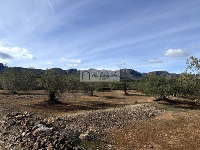 Undeveloped Land for sale in El Perelló - € 50,000 (Ref: 9622954)