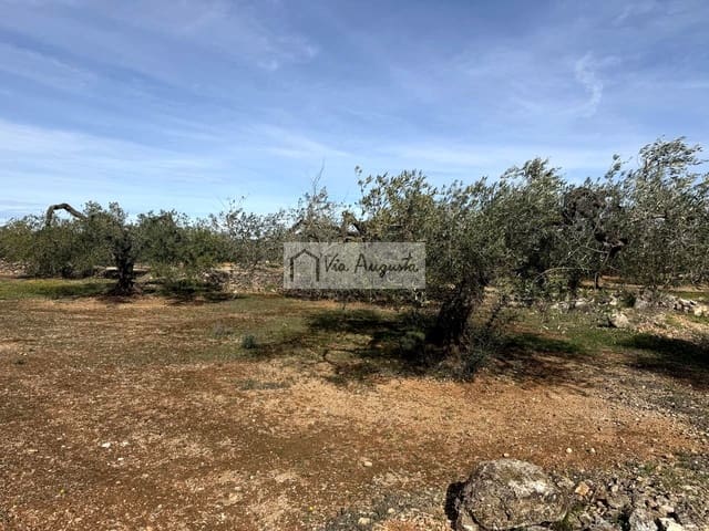 Undeveloped Land for sale in El Perelló - € 50,000 (Ref: 9622954)