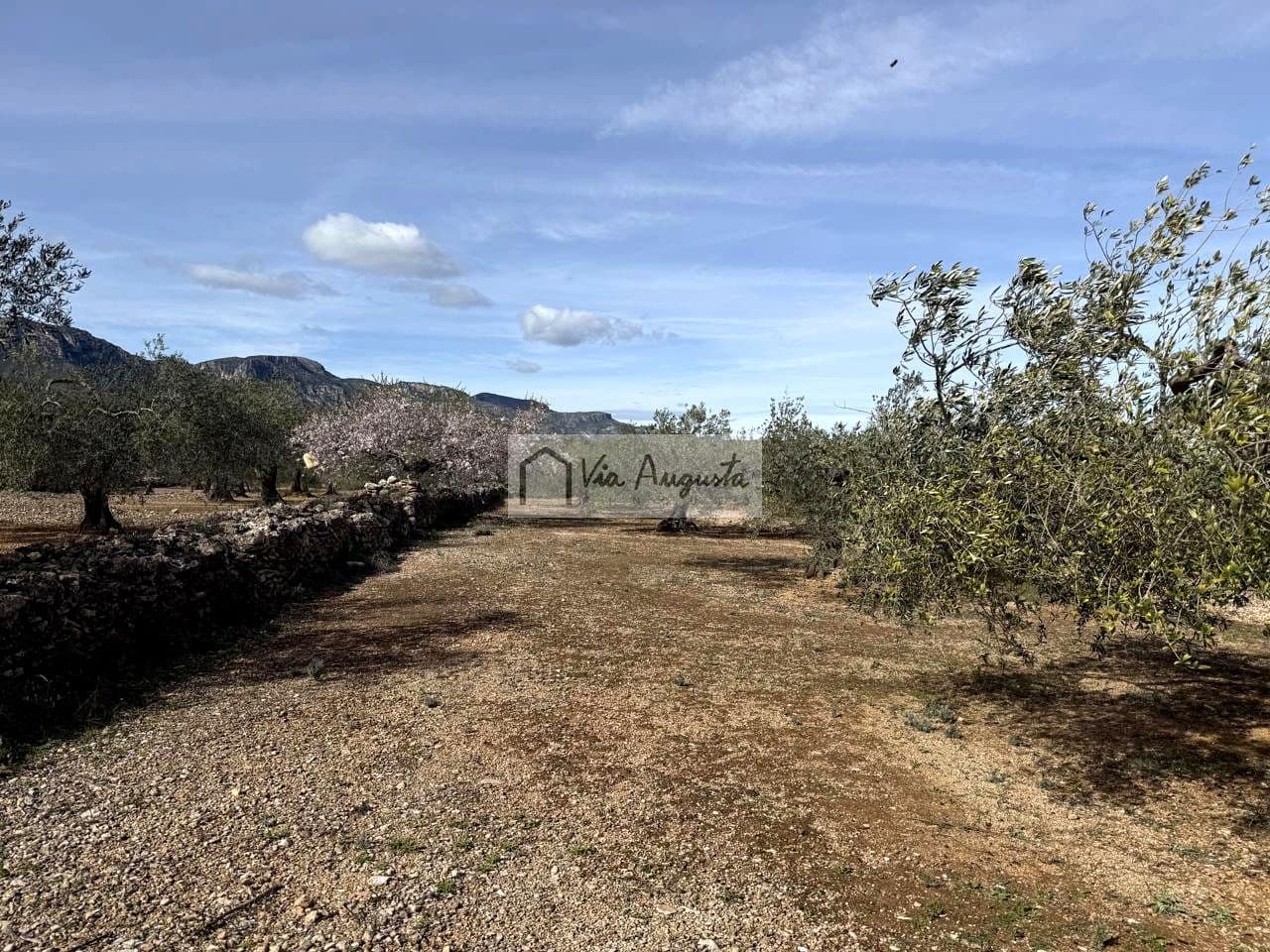 Undeveloped Land for sale in El Perello - € 50,000 (Ref: 9622954)