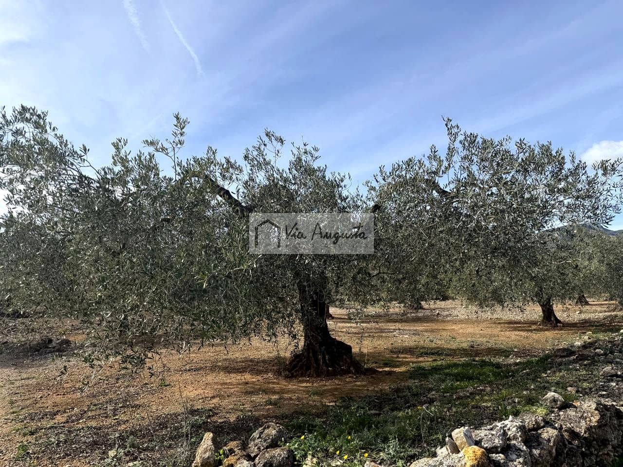 Undeveloped Land for sale in El Perello - € 50,000 (Ref: 9622954)