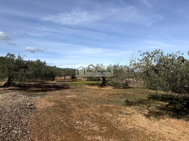 Undeveloped Land for sale in El Perelló - € 50,000 (Ref: 9622954)