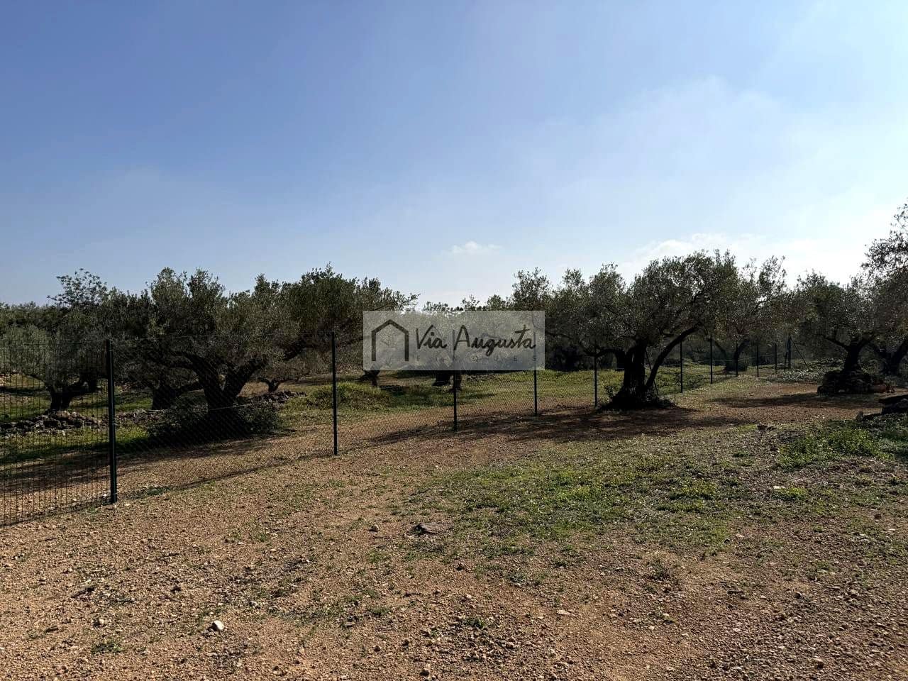 Ubebygd land til salgs i Camarles - € 135 000 (Ref: 9641068)