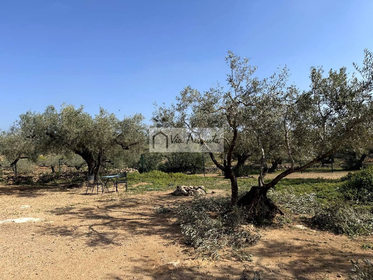 Ubebygd land til salgs i Camarles - € 135 000 (Ref: 9641068)