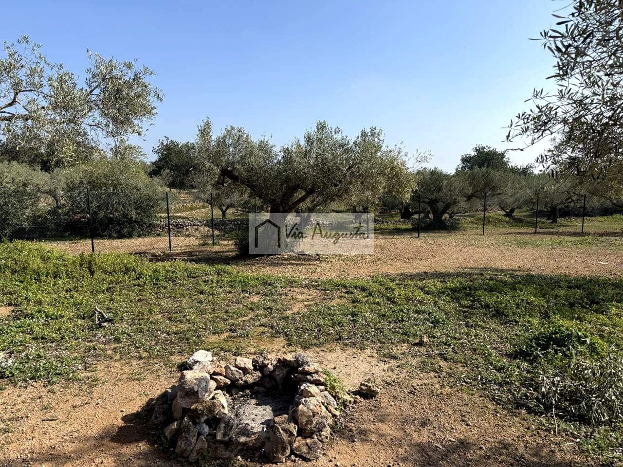 Ubebygd land til salgs i Camarles - € 135 000 (Ref: 9641068)
