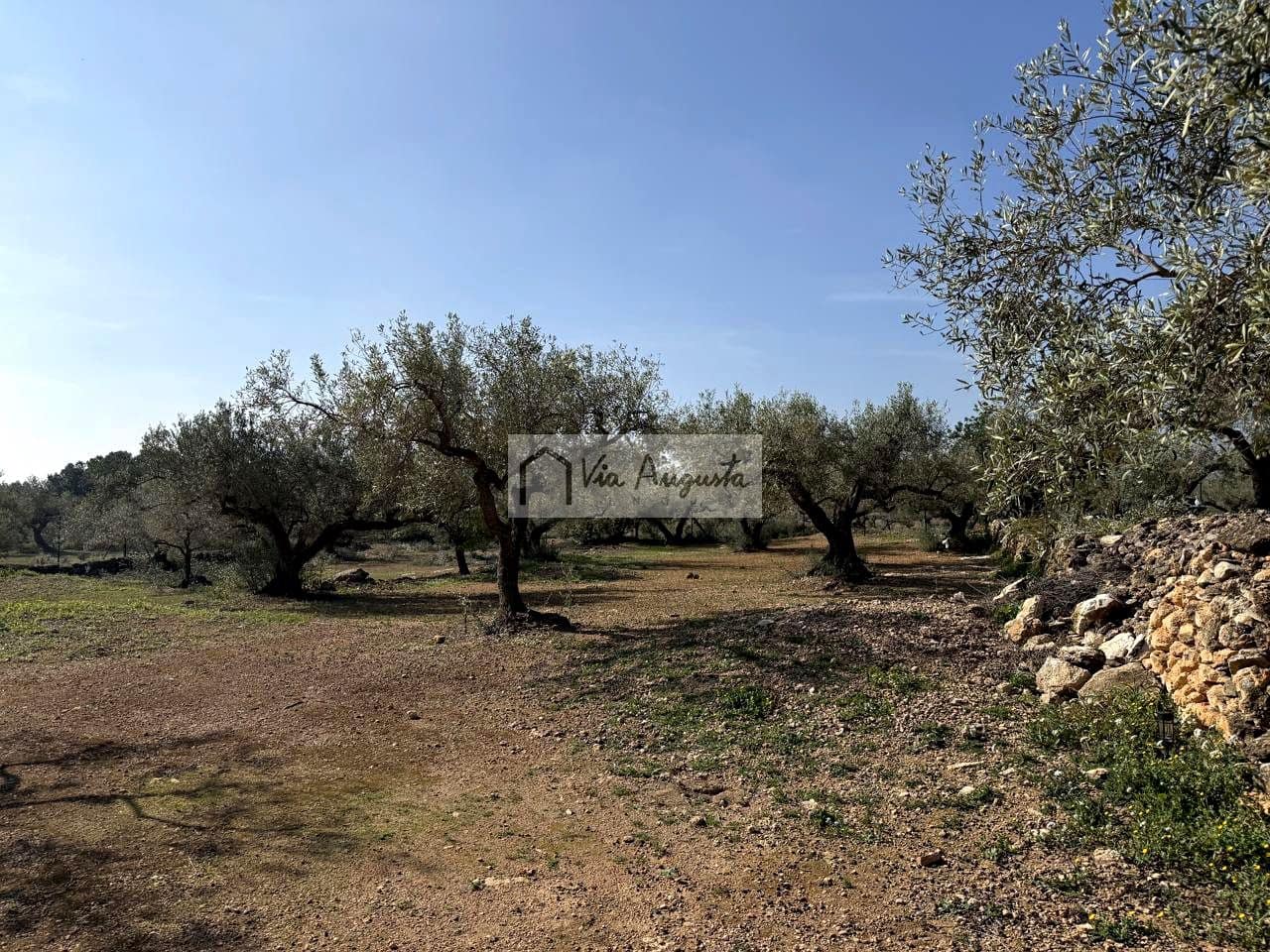 Ubebygd land til salgs i Camarles - € 135 000 (Ref: 9641068)