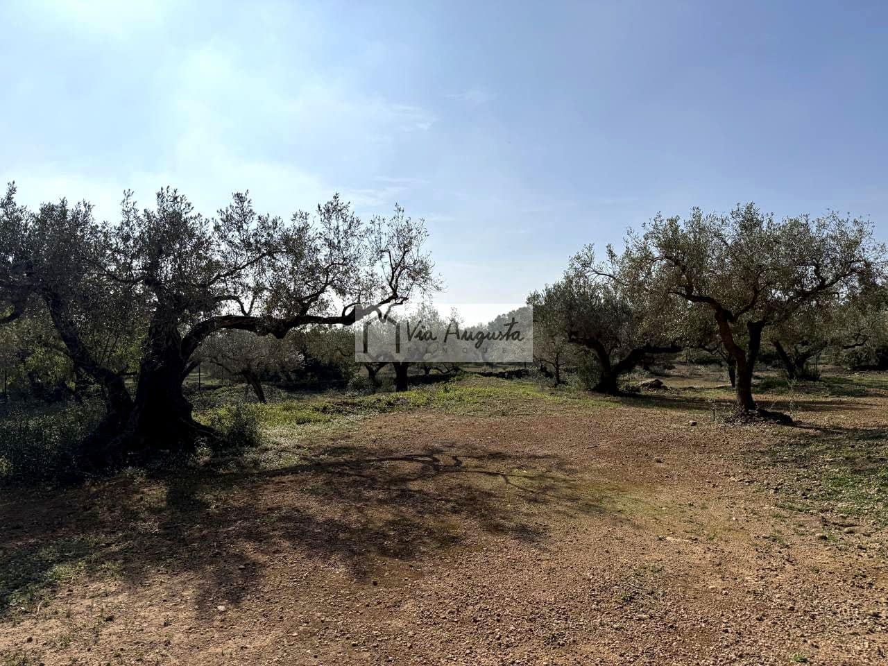 Ubebygd land til salgs i Camarles - € 135 000 (Ref: 9641068)