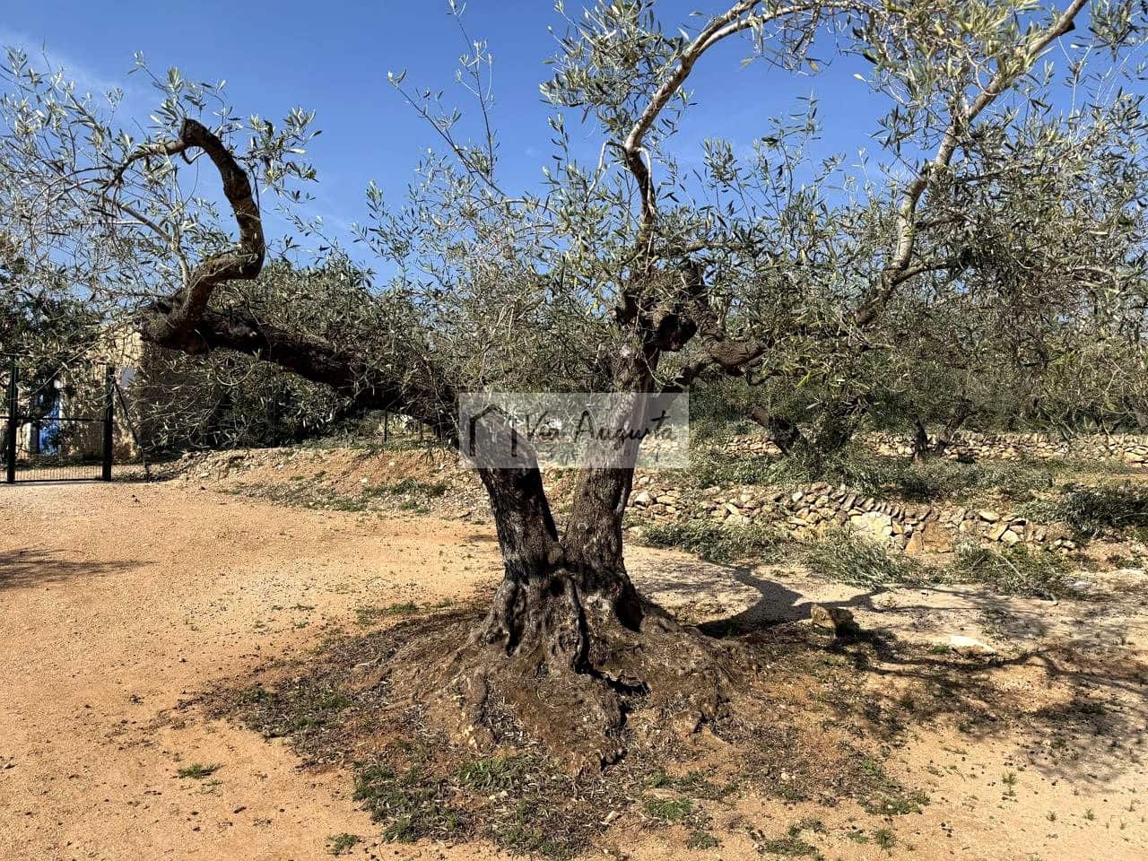 Ubebygd land til salgs i Camarles - € 135 000 (Ref: 9641068)