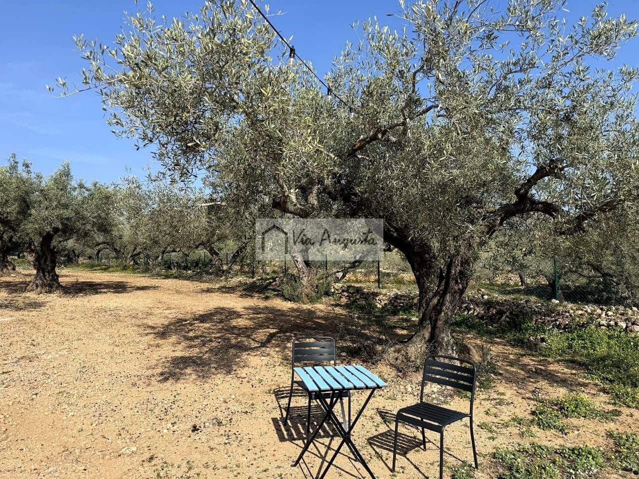 Ubebygd land til salgs i Camarles - € 135 000 (Ref: 9641068)