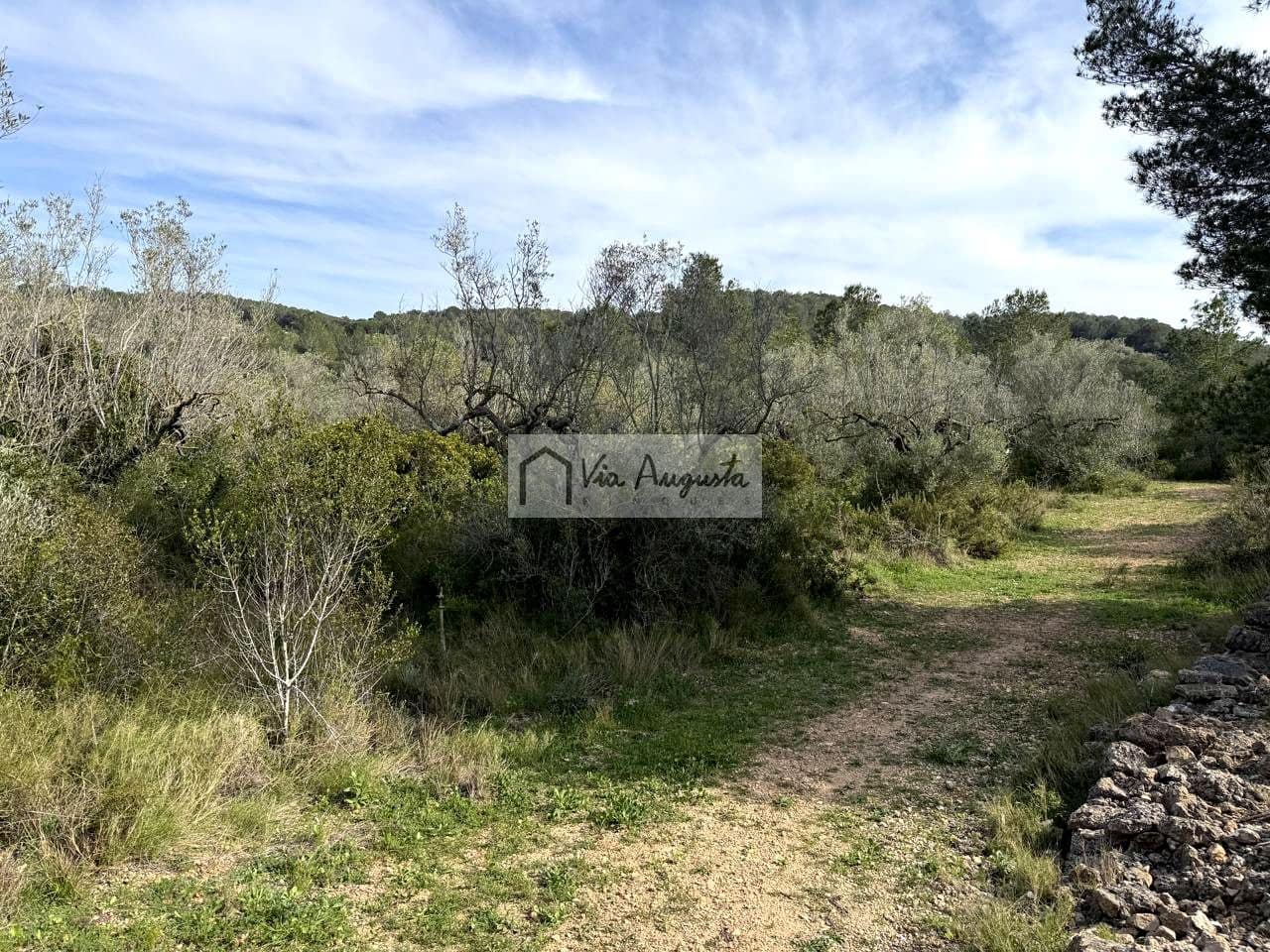 Undeveloped Land for sale in El Perello - € 35,000 (Ref: 9715670)