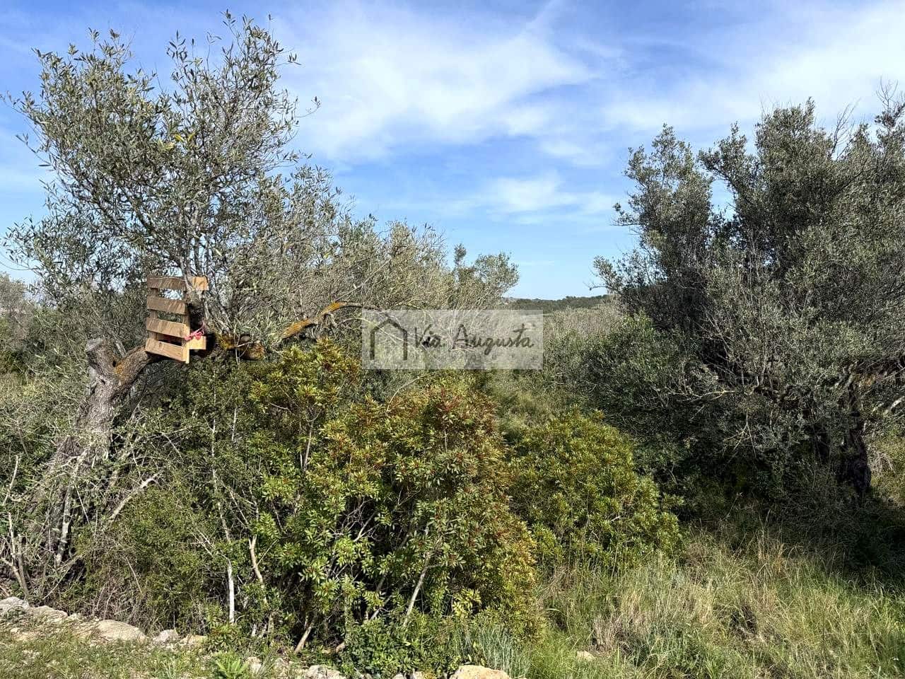 Undeveloped Land for sale in El Perello - € 35,000 (Ref: 9715670)