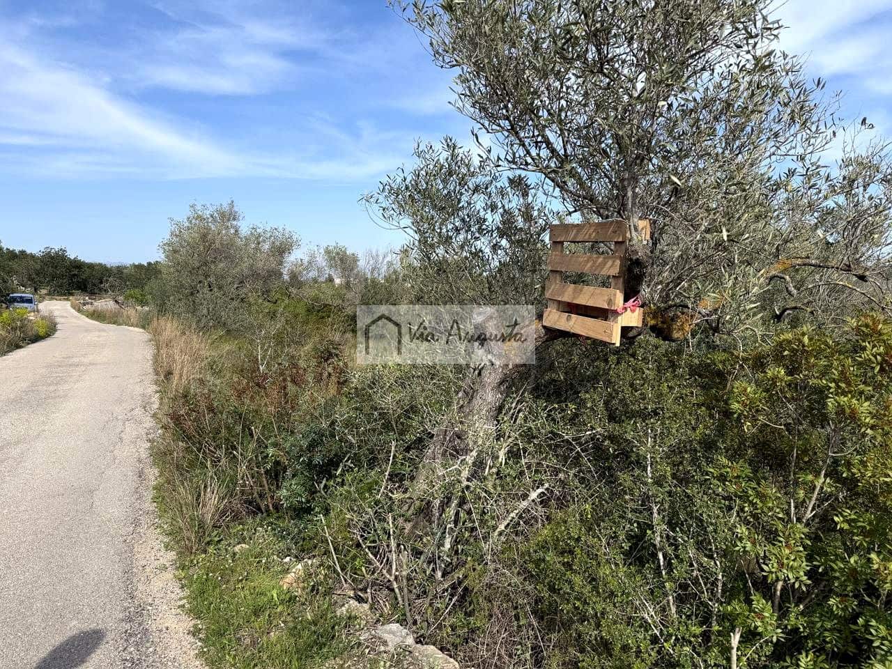 Undeveloped Land for sale in El Perello - € 35,000 (Ref: 9715670)