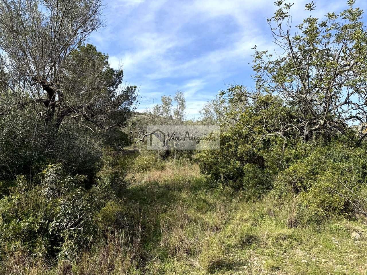 Undeveloped Land for sale in El Perello - € 35,000 (Ref: 9715670)