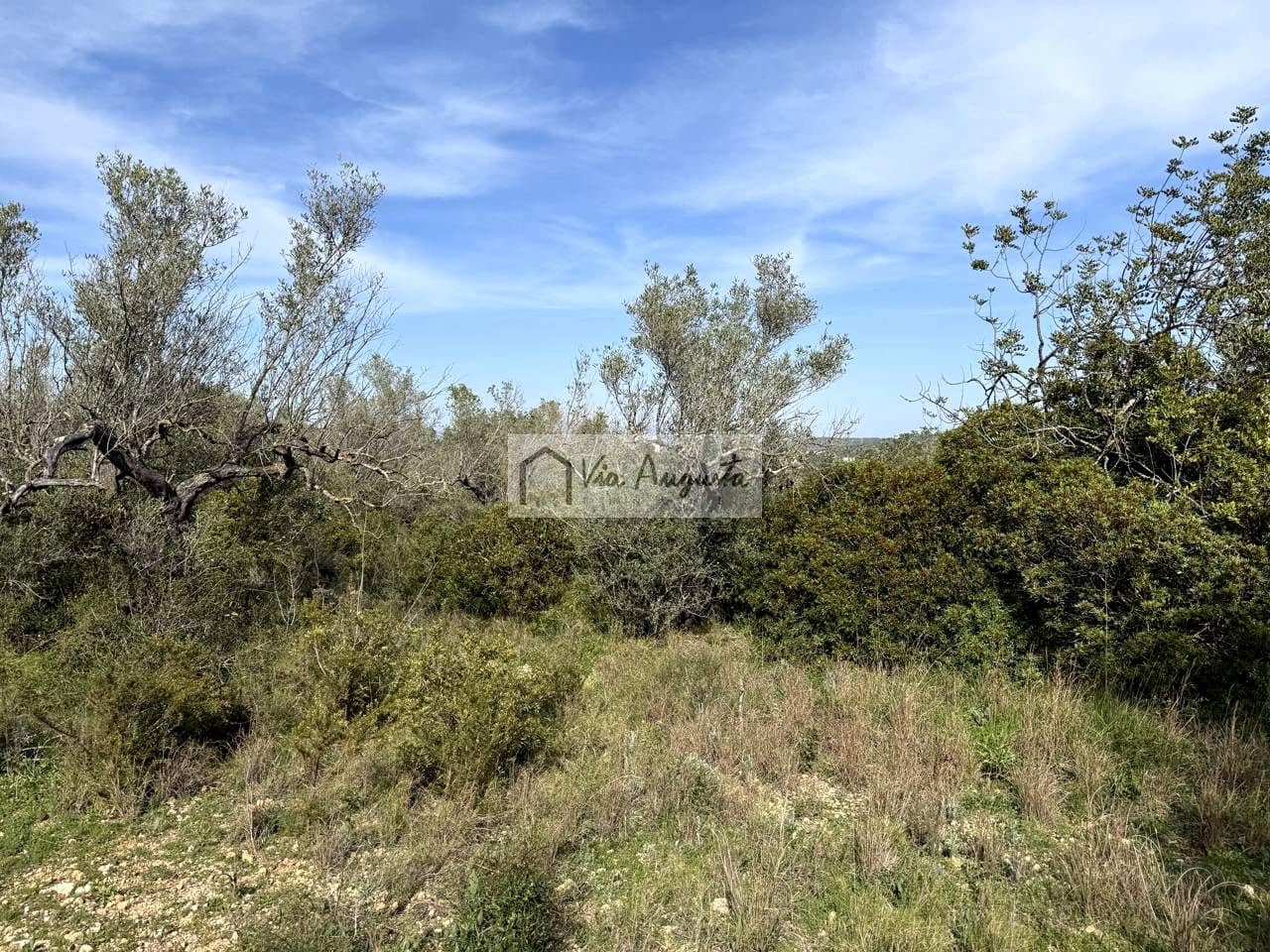 Undeveloped Land for sale in El Perello - € 35,000 (Ref: 9715670)