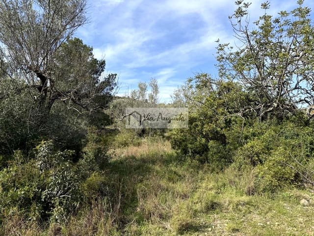 Ubebygd land til salgs i El Perelló - € 35 000 (Ref: 9715670)
