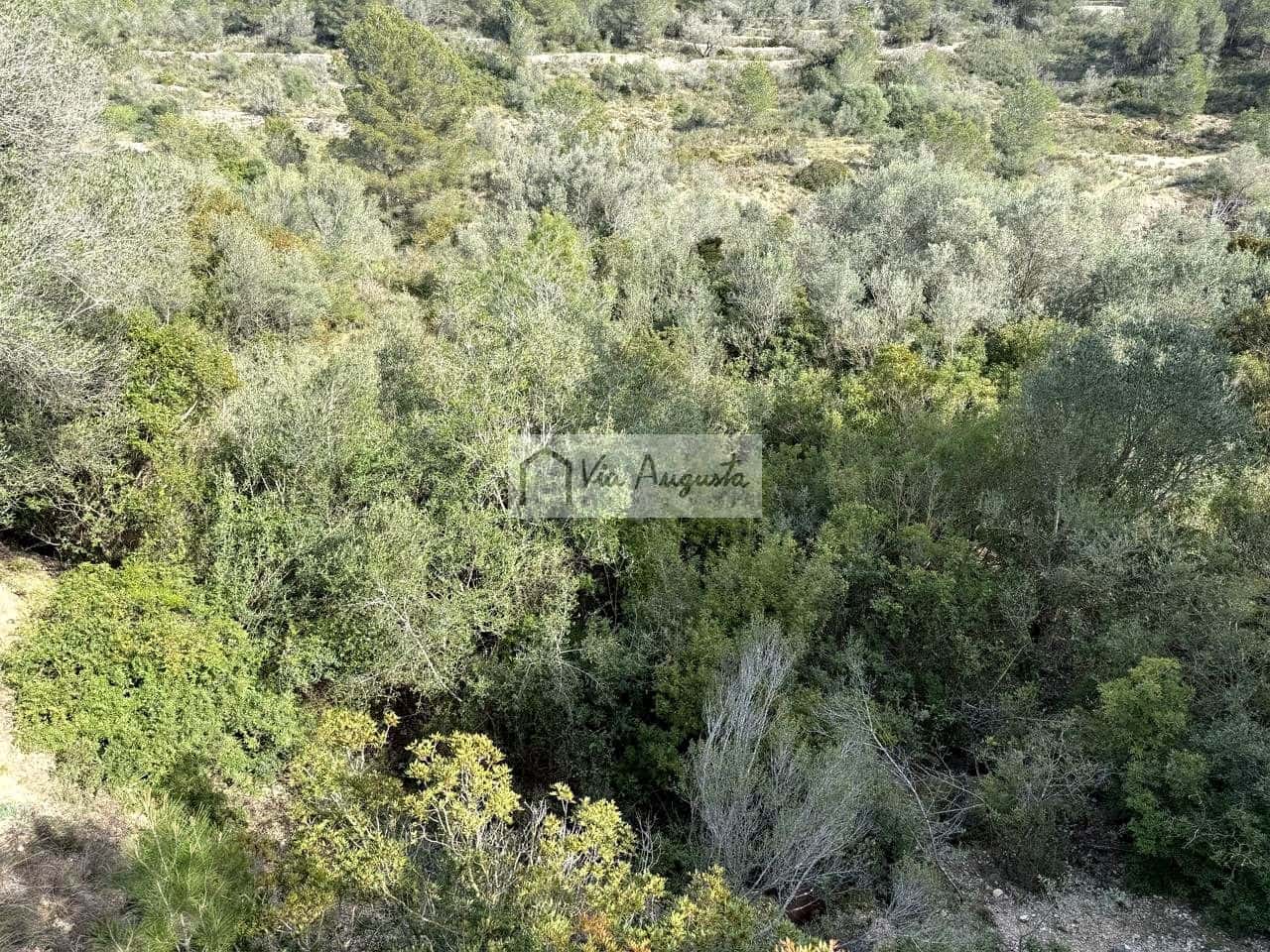 Undeveloped Land for sale in El Perello - € 35,000 (Ref: 9715670)