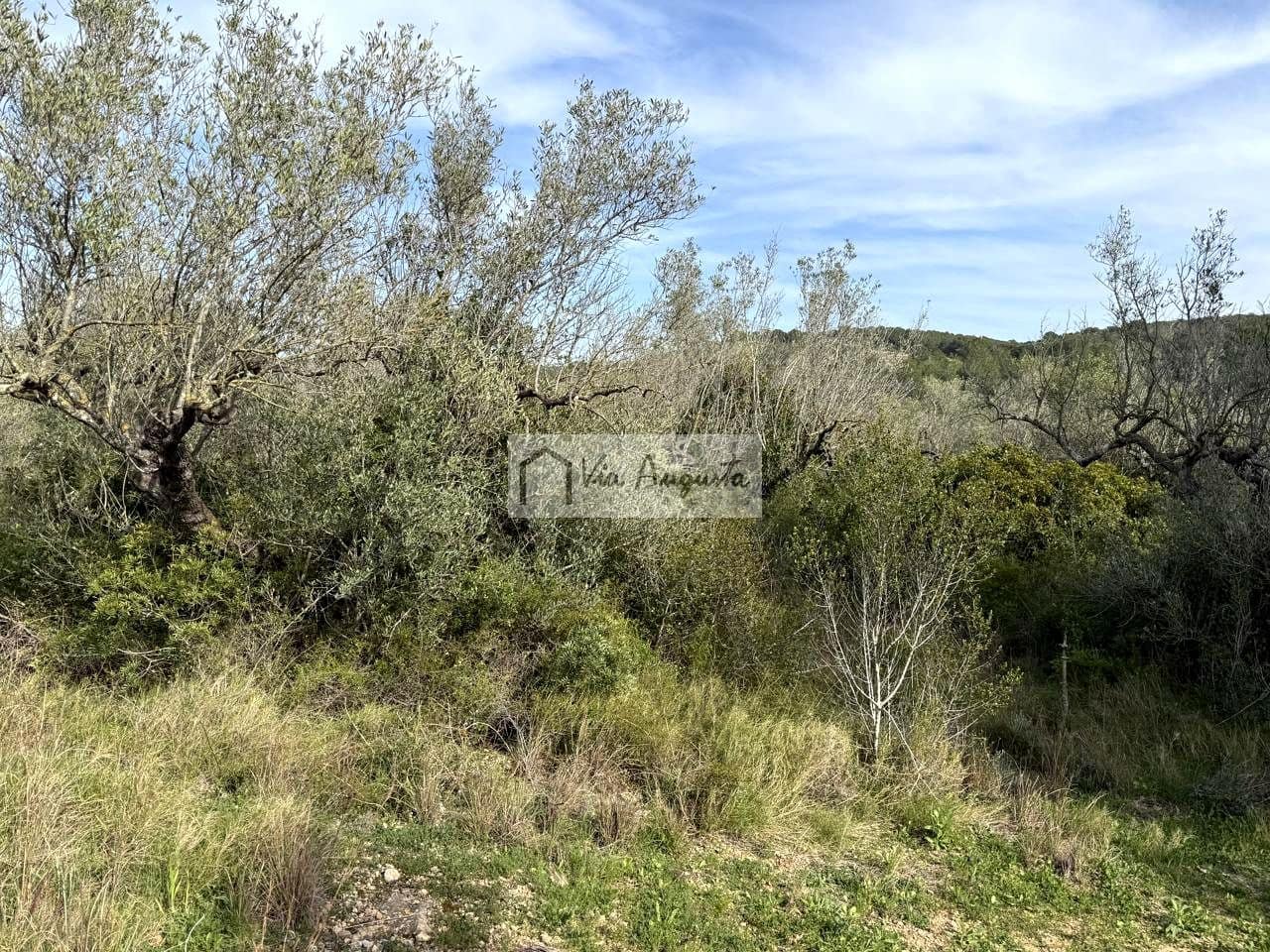 Undeveloped Land for sale in El Perello - € 35,000 (Ref: 9715670)