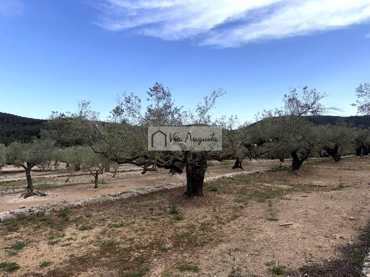 2 makuuhuone Maalaistalo myytävänä paikassa El Perello - 125 000 € (Ref: 9795331)