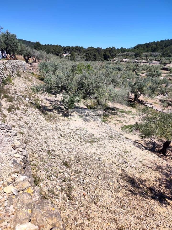 2 makuuhuone Maalaistalo myytävänä paikassa El Perello - 125 000 € (Ref: 9795331)