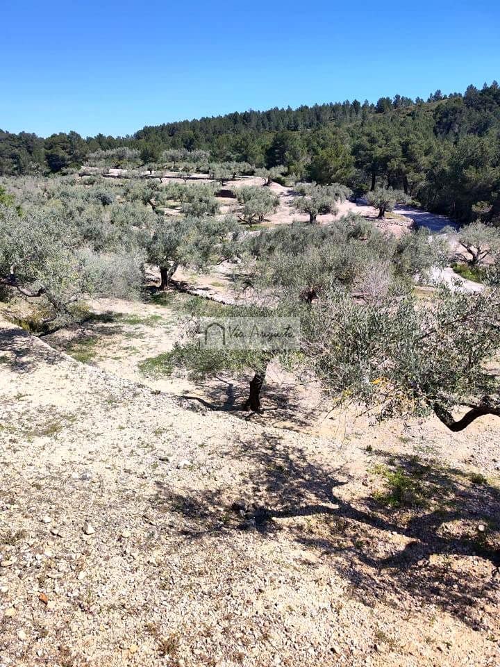 2 makuuhuone Maalaistalo myytävänä paikassa El Perello - 125 000 € (Ref: 9795331)