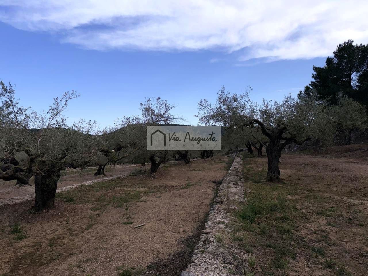 2 makuuhuone Maalaistalo myytävänä paikassa El Perello - 125 000 € (Ref: 9795331)