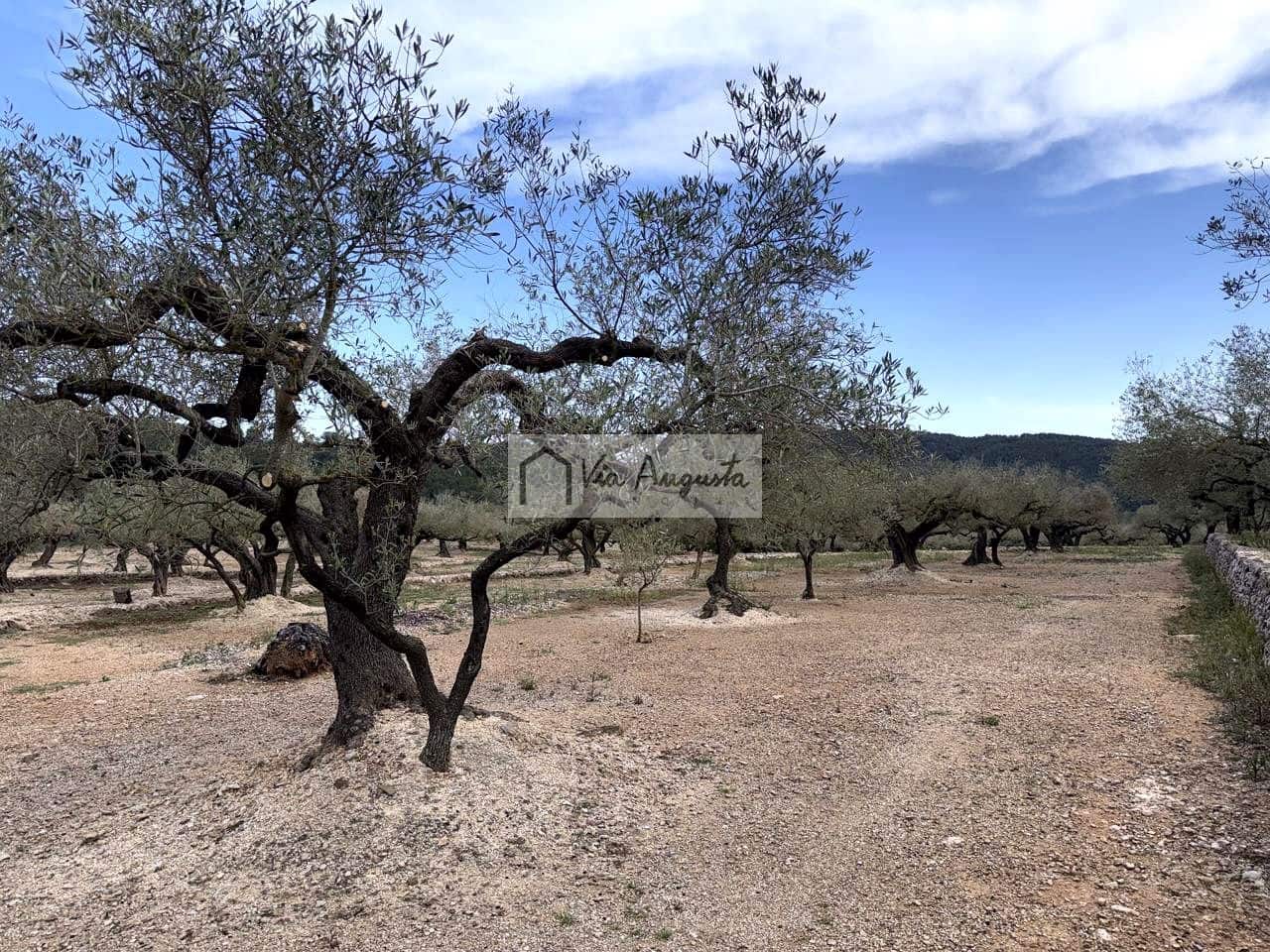 2 makuuhuone Maalaistalo myytävänä paikassa El Perello - 125 000 € (Ref: 9795331)