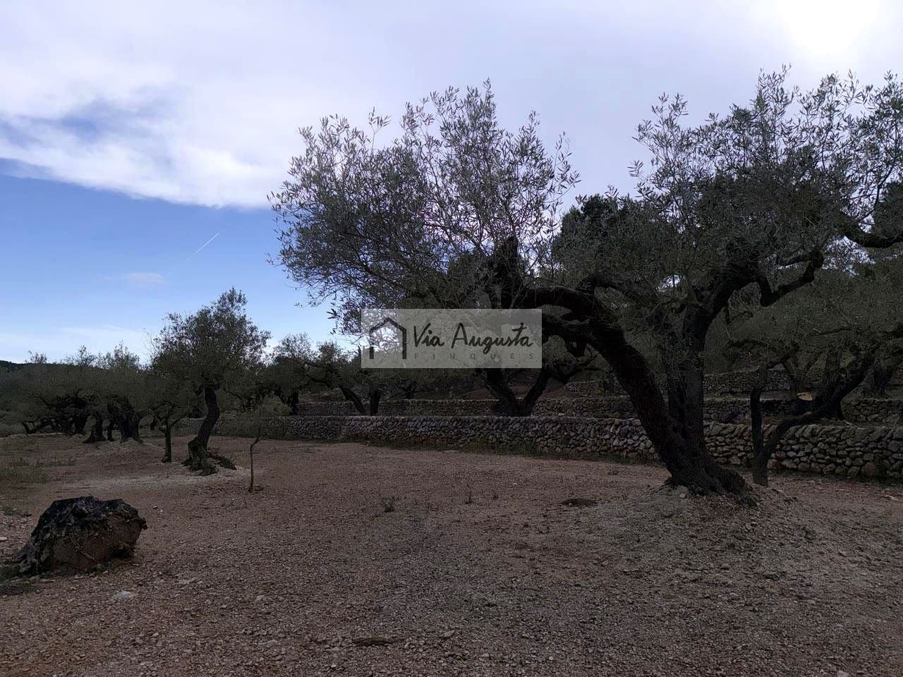 2 makuuhuone Maalaistalo myytävänä paikassa El Perello - 125 000 € (Ref: 9795331)