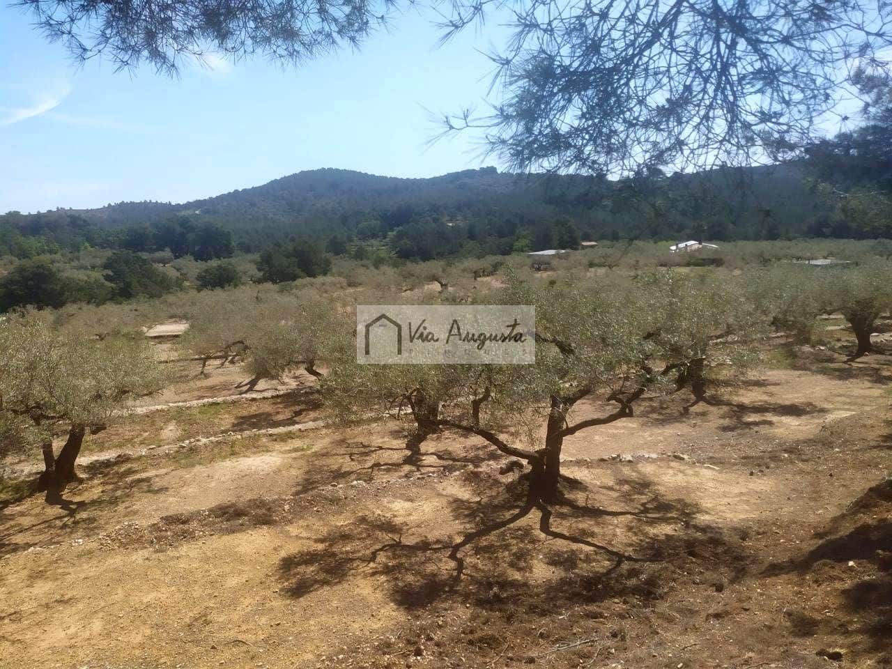 2 makuuhuone Maalaistalo myytävänä paikassa El Perello - 125 000 € (Ref: 9795331)