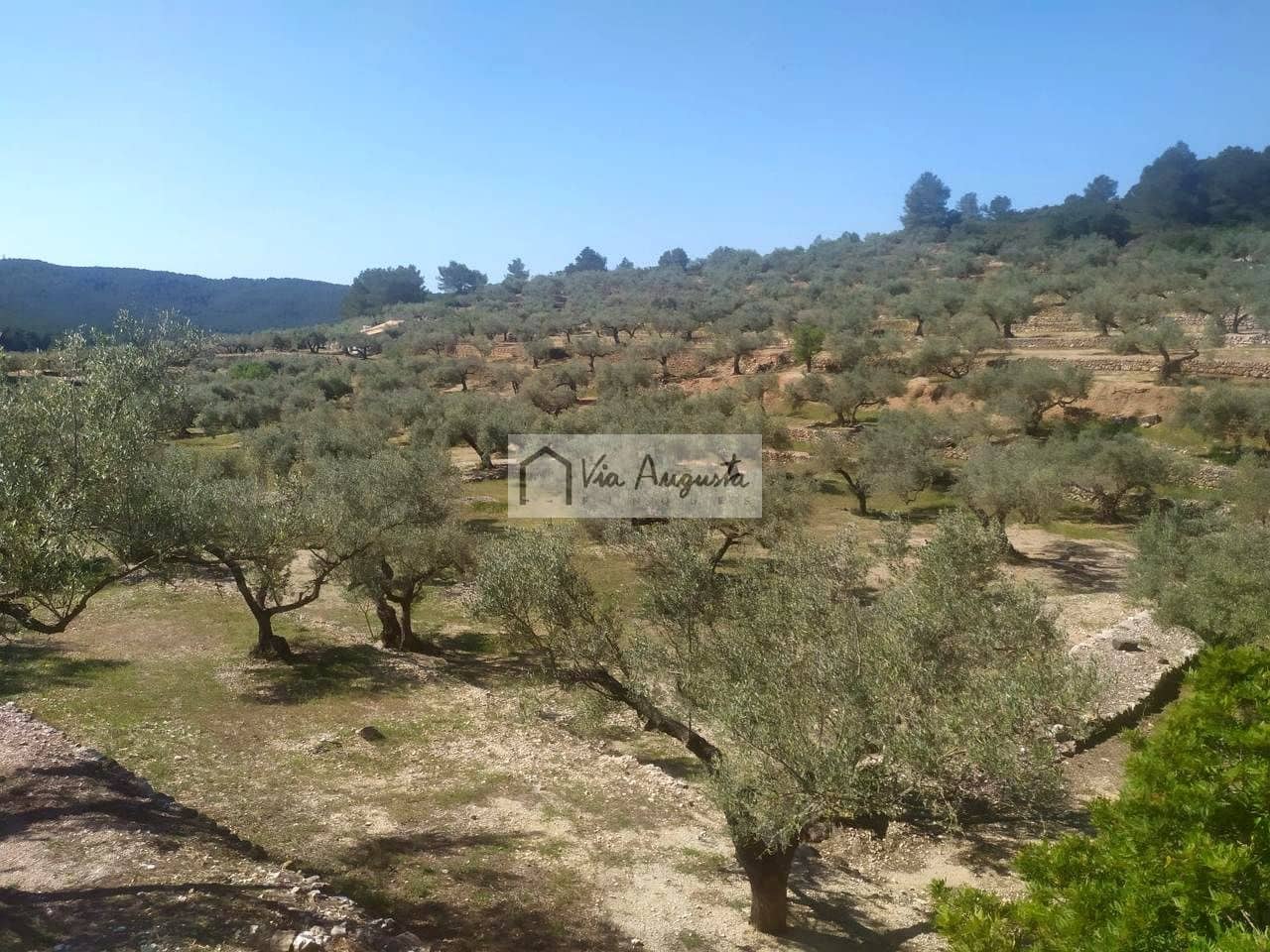 2 makuuhuone Maalaistalo myytävänä paikassa El Perello - 125 000 € (Ref: 9795331)