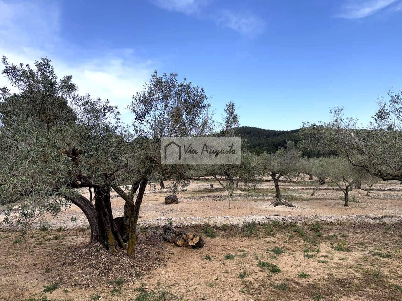 2 makuuhuone Maalaistalo myytävänä paikassa El Perello - 125 000 € (Ref: 9795331)