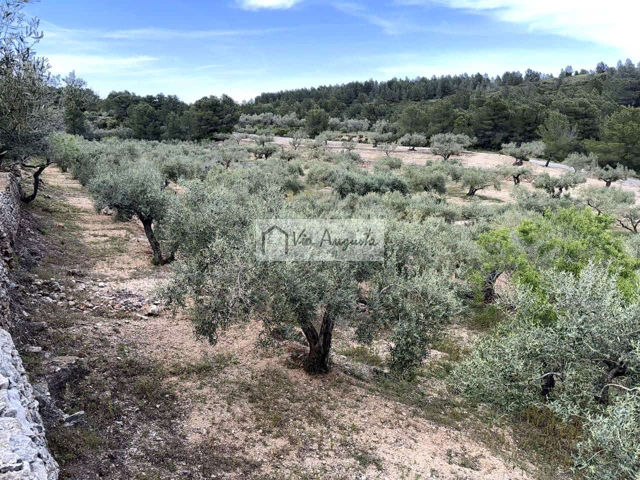 2 makuuhuone Maalaistalo myytävänä paikassa El Perello - 125 000 € (Ref: 9795331)