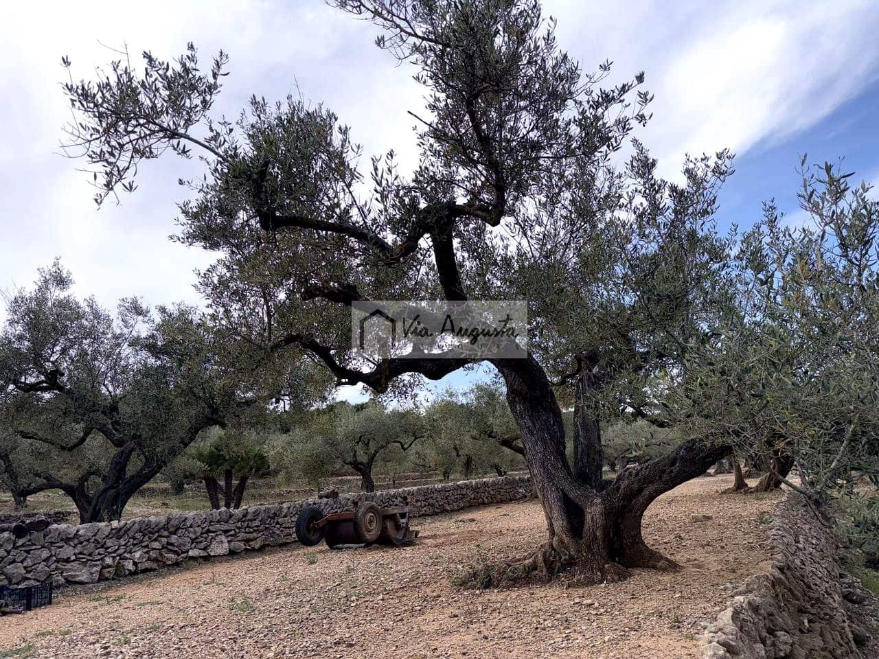 2 makuuhuone Maalaistalo myytävänä paikassa El Perello - 125 000 € (Ref: 9795331)