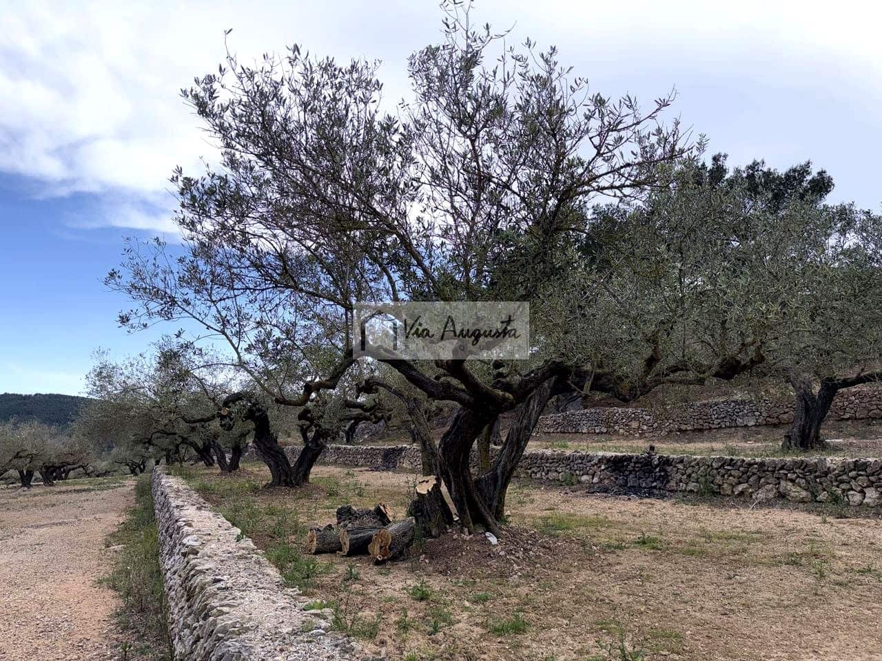 2 makuuhuone Maalaistalo myytävänä paikassa El Perello - 125 000 € (Ref: 9795331)