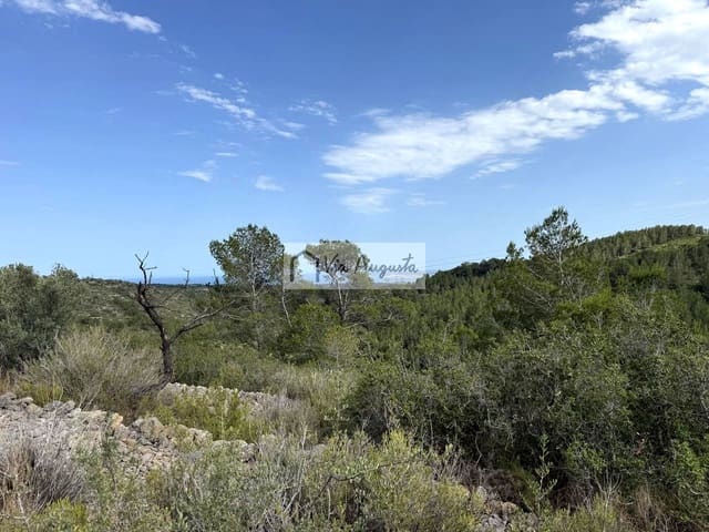 Undeveloped Land for sale in El Perelló - € 8,500 (Ref: 9904957)
