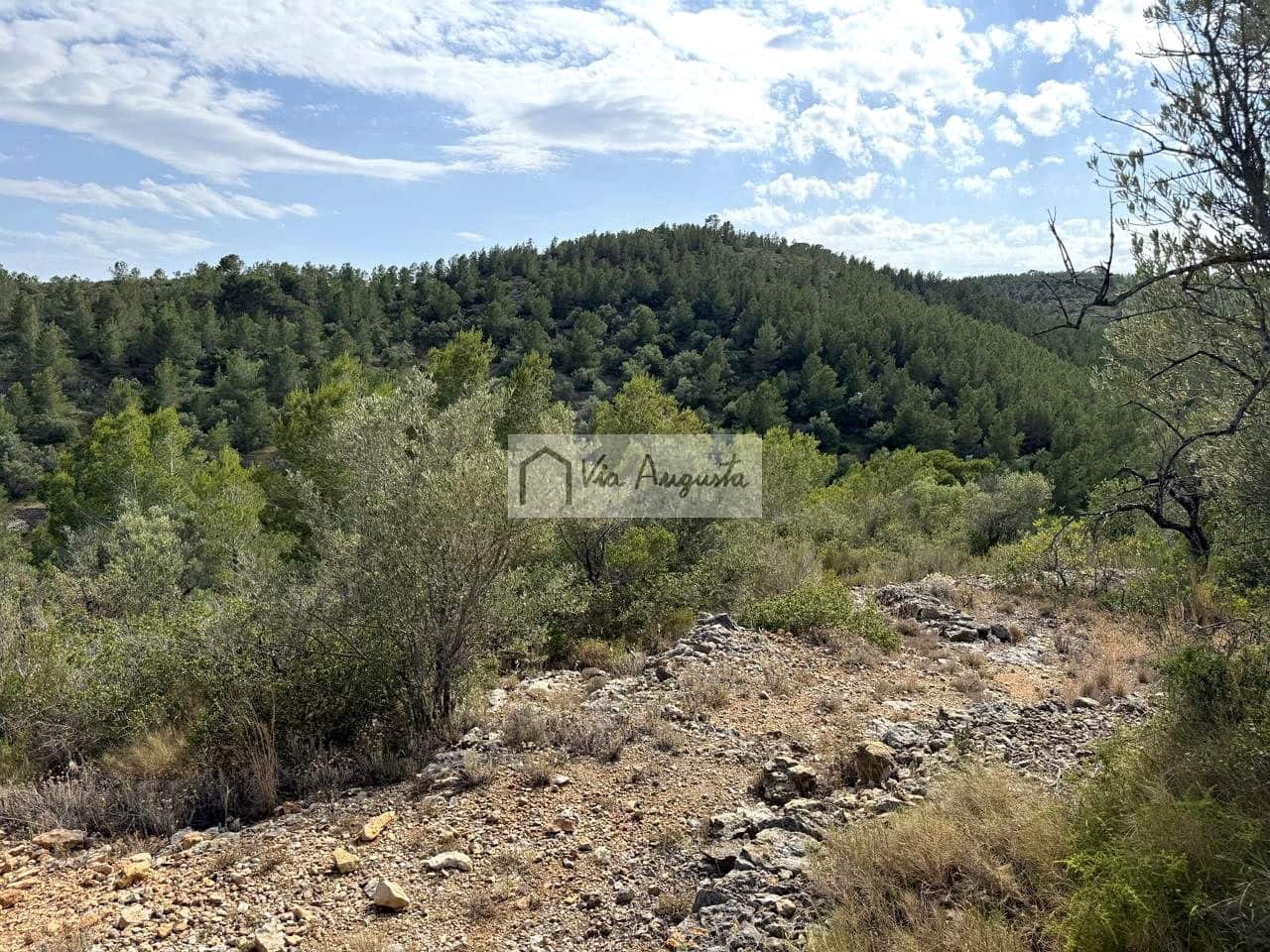 Undeveloped Land for sale in El Perello - € 8,500 (Ref: 9904957)