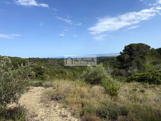 Undeveloped Land for sale in El Perelló - € 8,500 (Ref: 9904957)