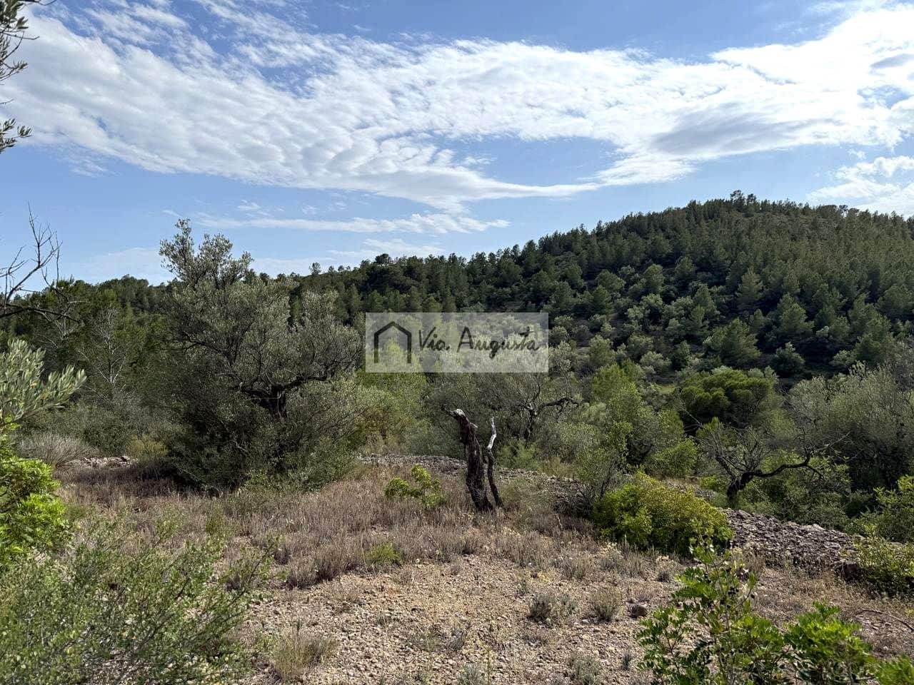 Undeveloped Land for sale in El Perello - € 8,500 (Ref: 9904957)