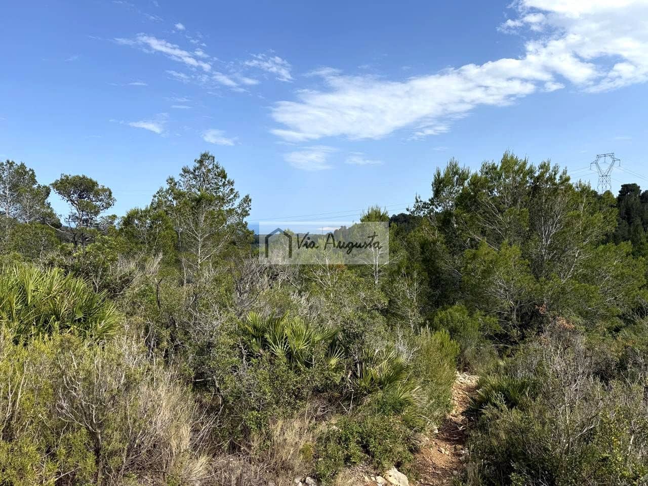 Undeveloped Land for sale in El Perello - € 8,500 (Ref: 9904957)
