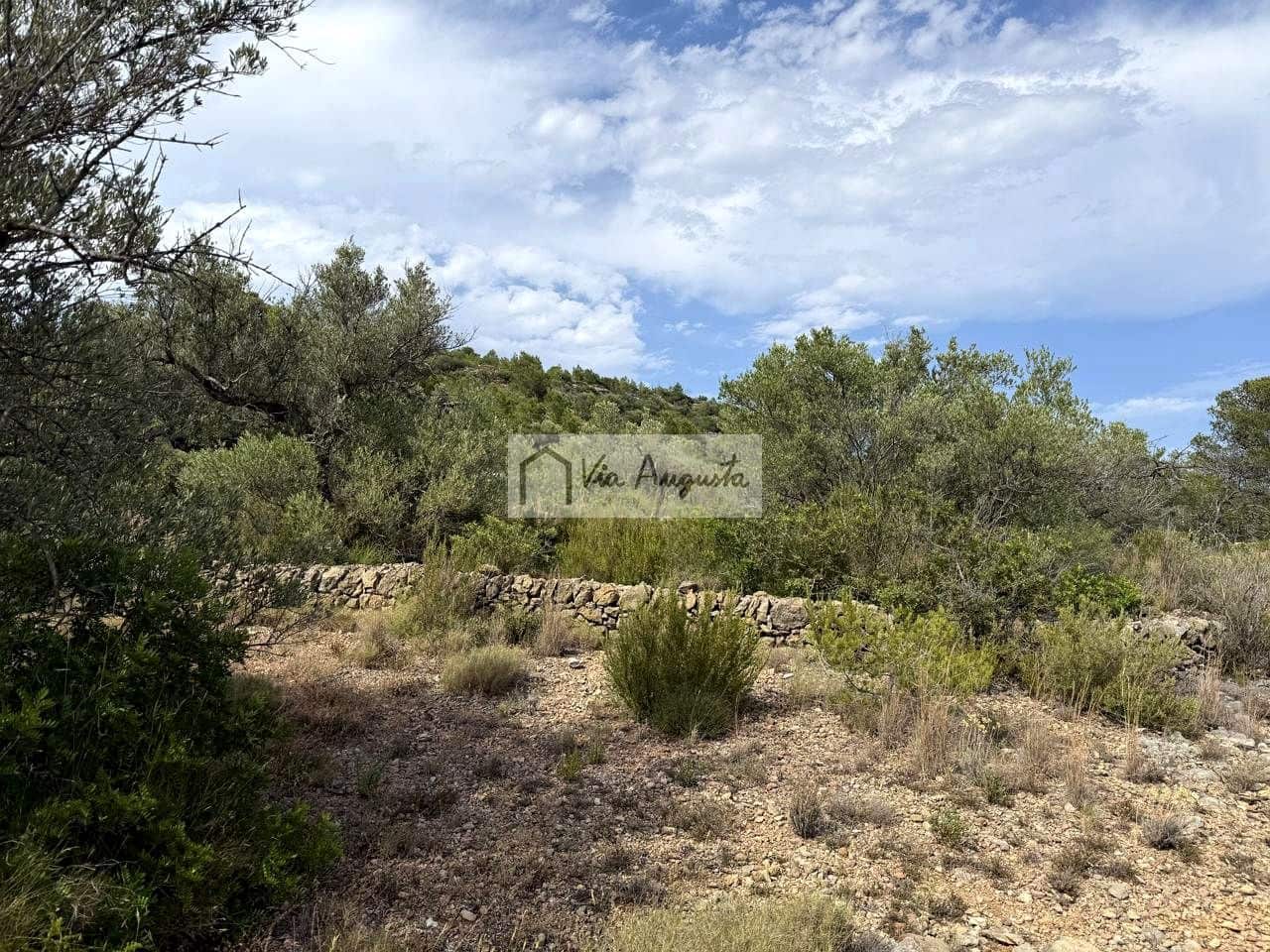 Undeveloped Land for sale in El Perello - € 8,500 (Ref: 9904957)