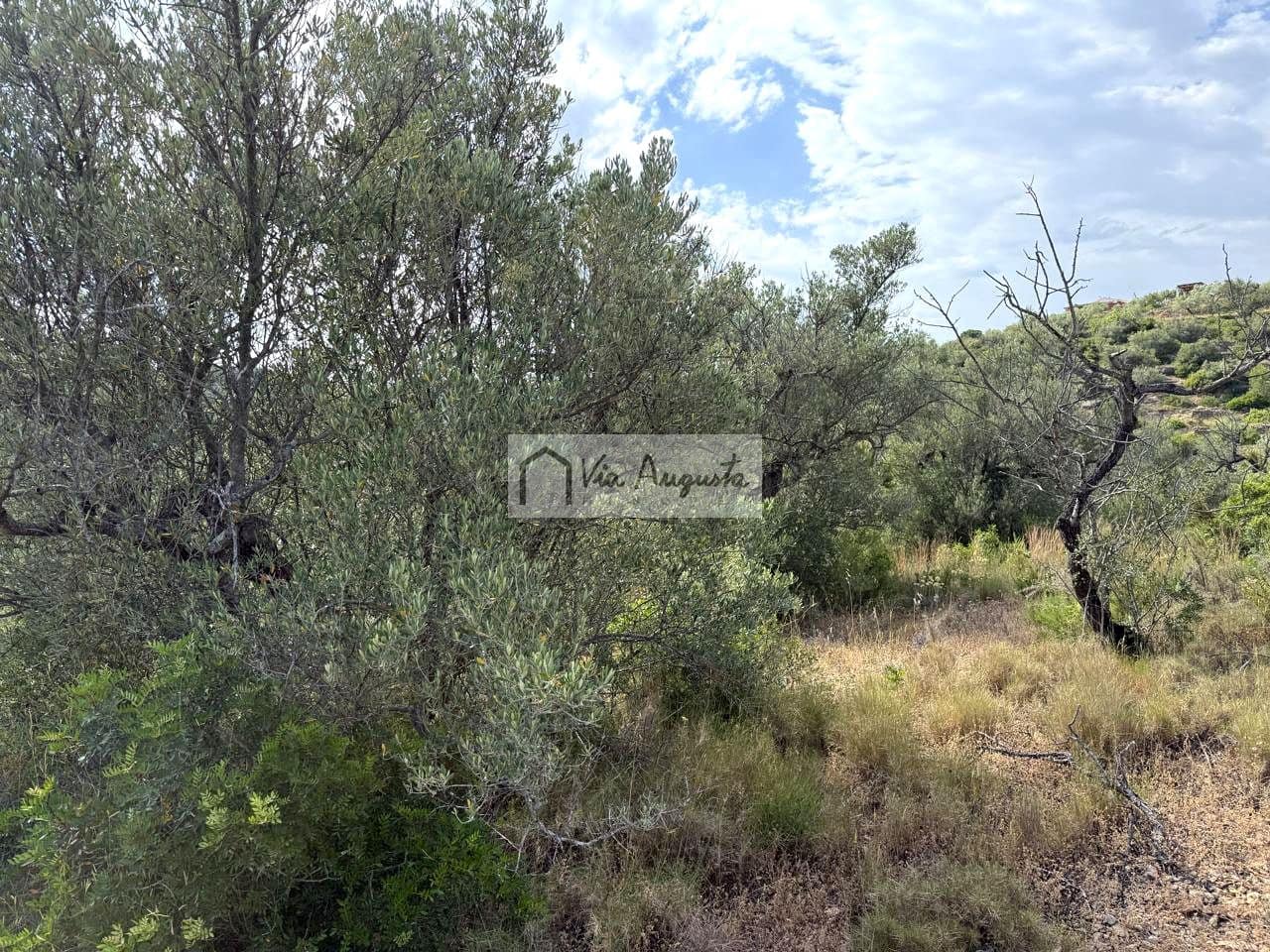 Undeveloped Land for sale in El Perello - € 8,500 (Ref: 9904957)