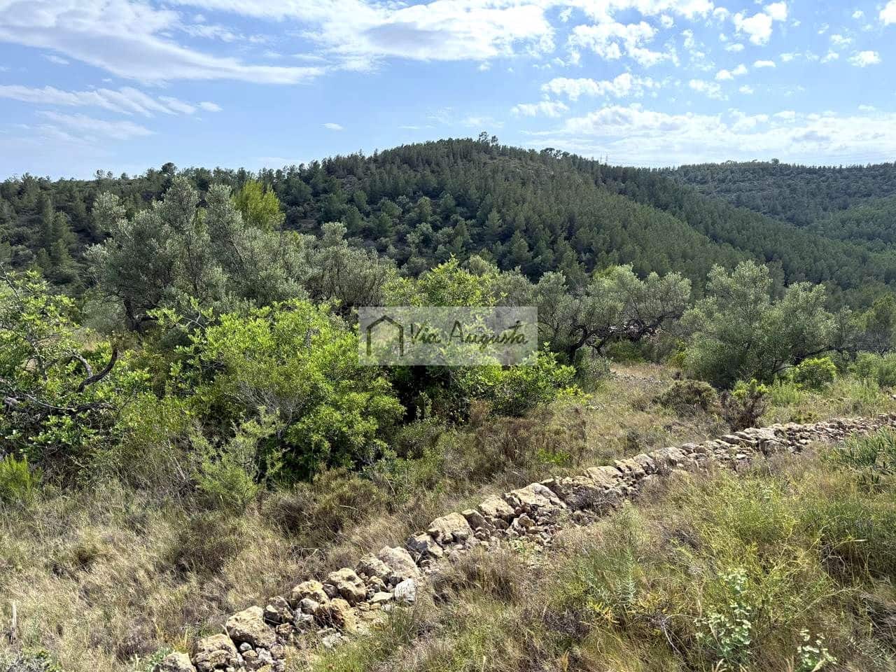 Undeveloped Land for sale in El Perello - € 8,500 (Ref: 9904957)