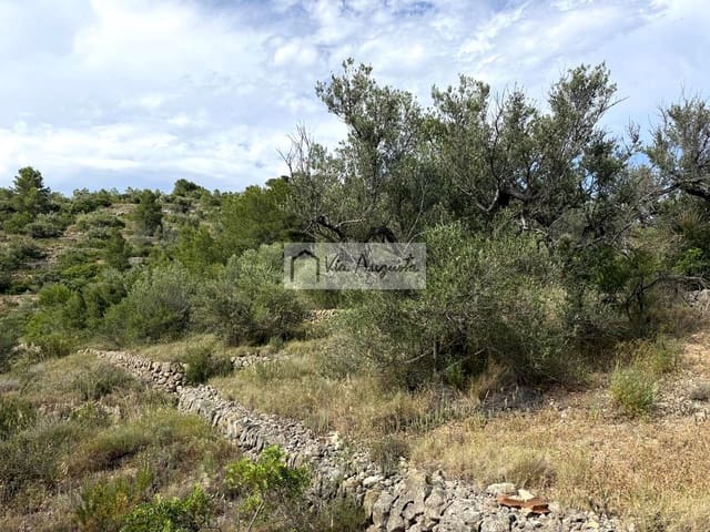 Undeveloped Land for sale in El Perelló - € 8,500 (Ref: 9904957)