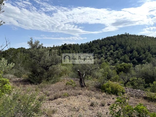 Undeveloped Land for sale in El Perelló - € 8,500 (Ref: 9904957)