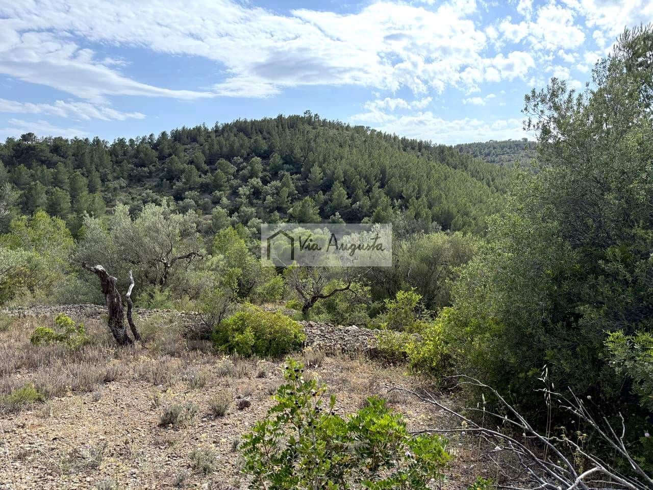 Undeveloped Land for sale in El Perello - € 8,500 (Ref: 9904957)