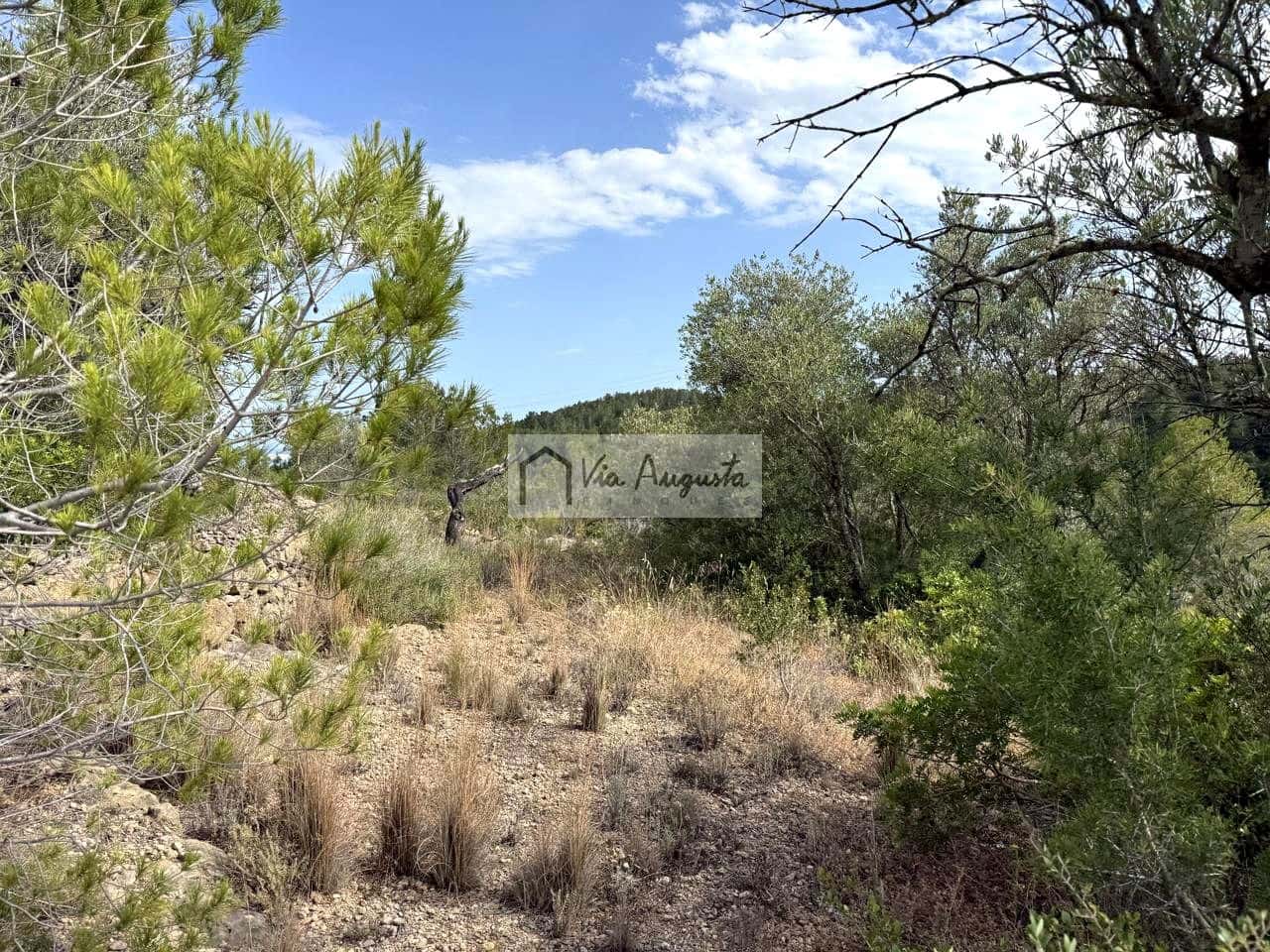 Undeveloped Land for sale in El Perello - € 8,500 (Ref: 9904957)