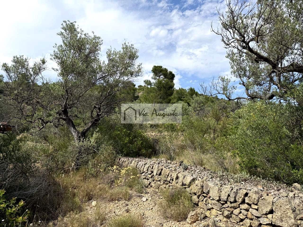 Undeveloped Land for sale in El Perello - € 8,500 (Ref: 9904957)