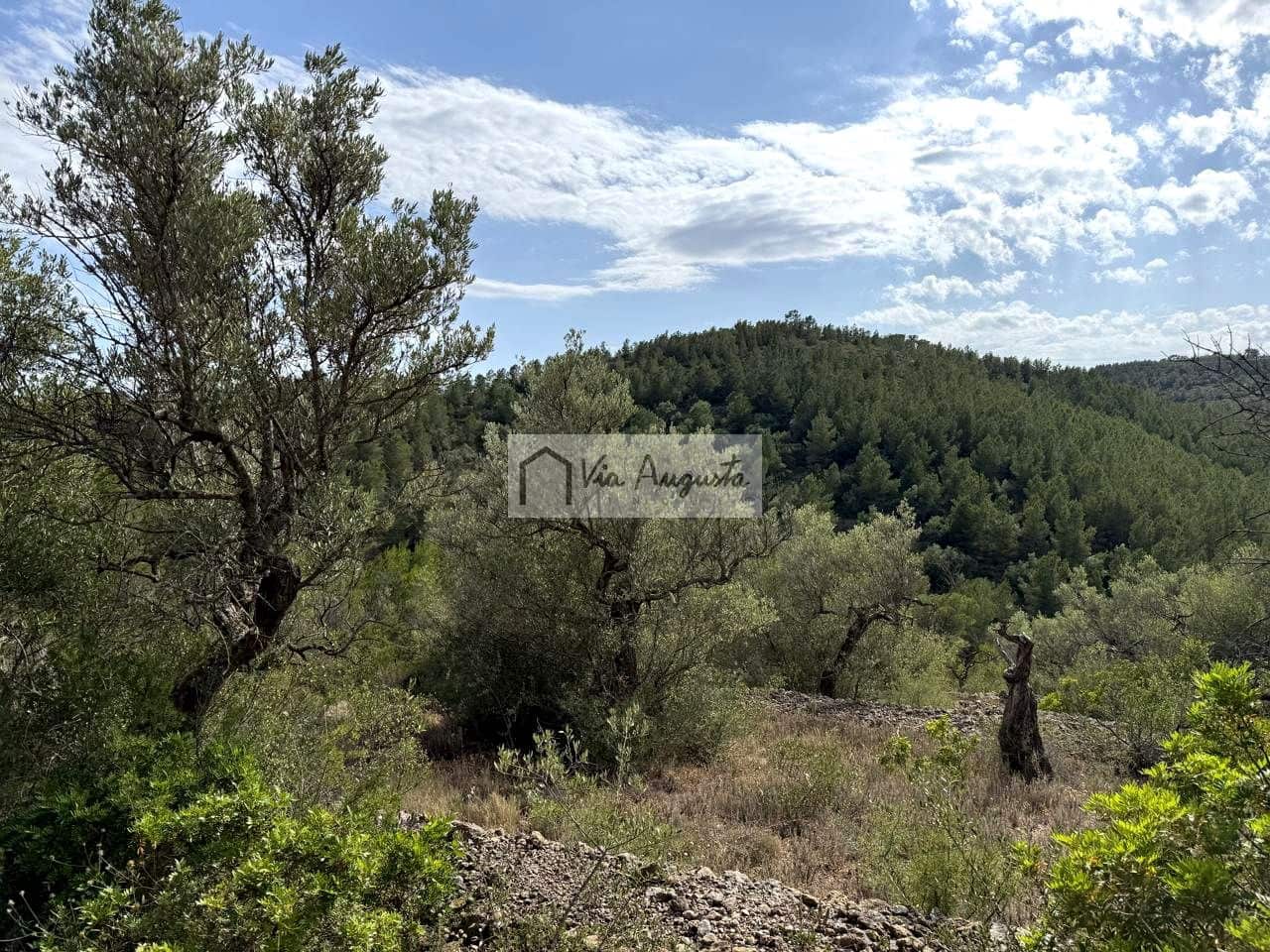 Undeveloped Land for sale in El Perello - € 8,500 (Ref: 9904957)