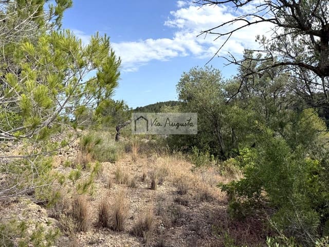 Undeveloped Land for sale in El Perelló - € 8,500 (Ref: 9904957)
